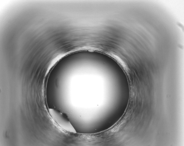 X0000093770910200710301203