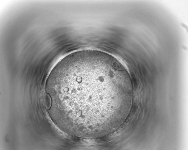 X0000093770911200710301203