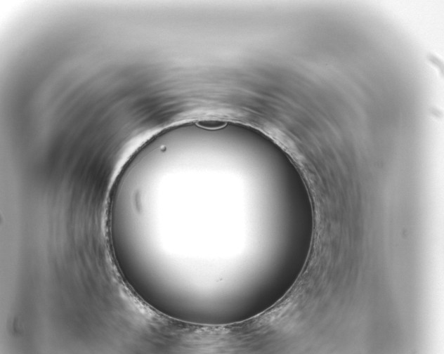 X0000093770912200710301203