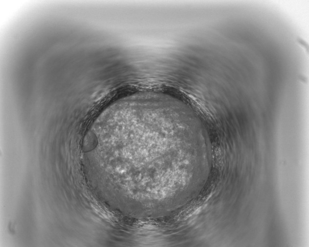 X0000093770913200710301202