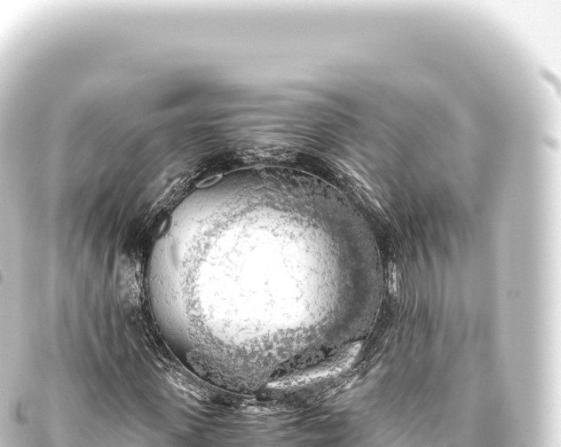 X0000093770915200710301202