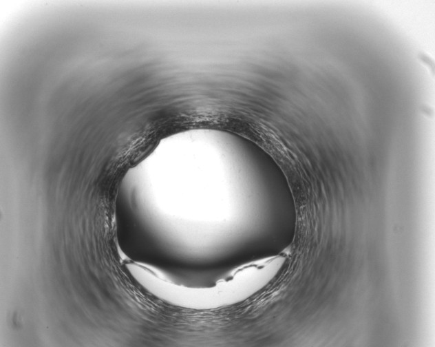 X0000093770916200710301202