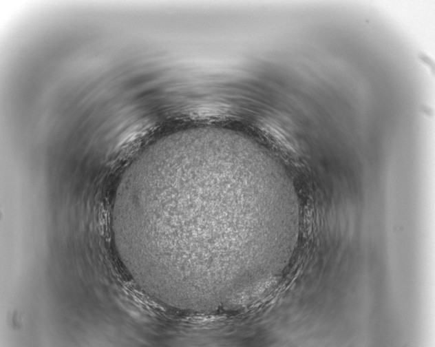 X0000093770917200710301202