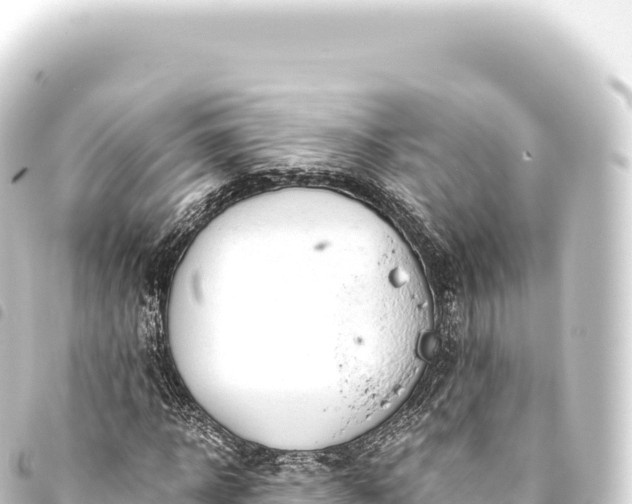 X0000093770918200710301202