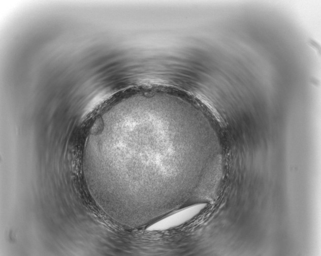 X0000093770919200710301202