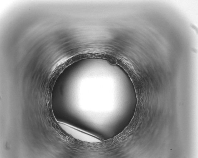 X0000093770920200710301202