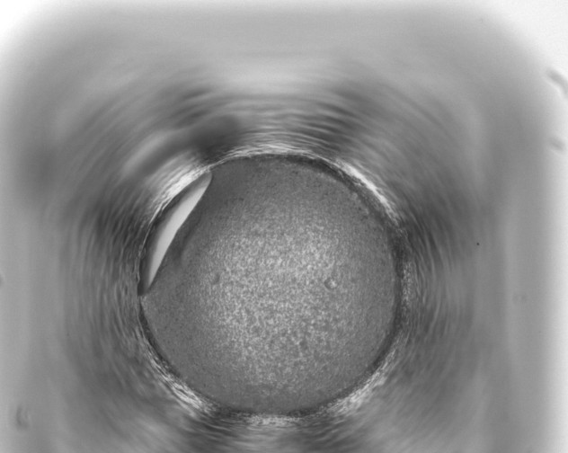 X0000093770921200710301202