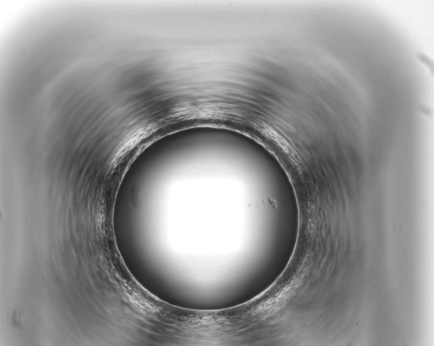 X0000093770922200710301202