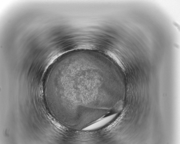 X0000093770923200710301202