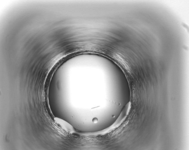 X0000093770924200710301202