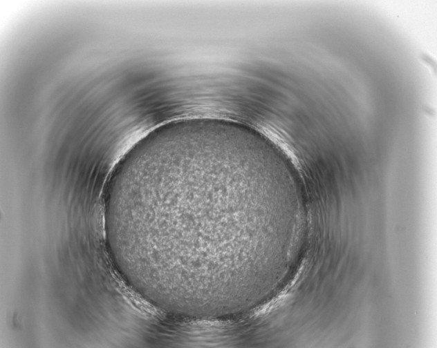 X0000093770925200710301202