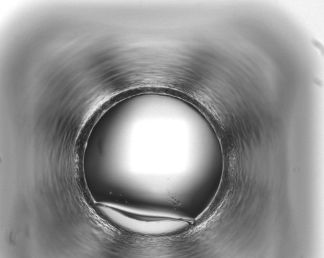 X0000093770926200710301202