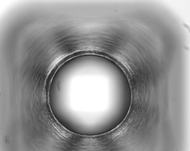 X0000093770927200710301202