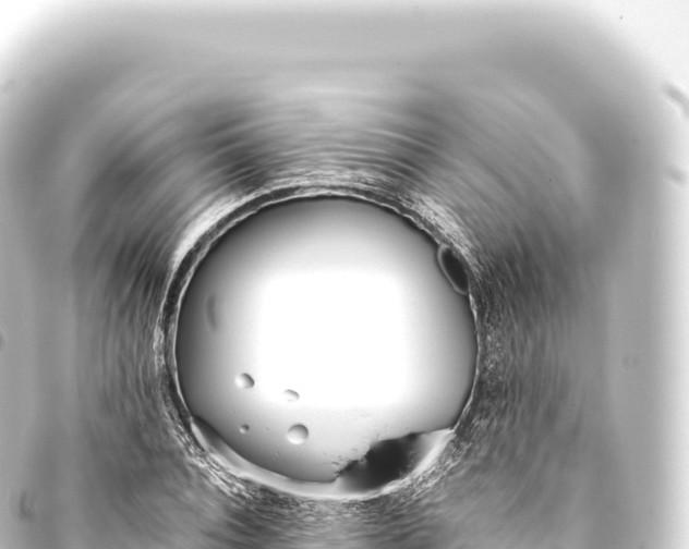 X0000093770928200710301202