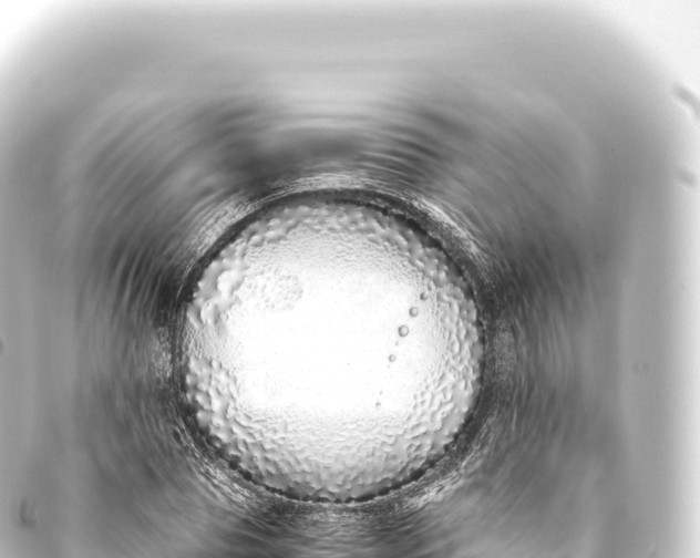 X0000093770929200710301202