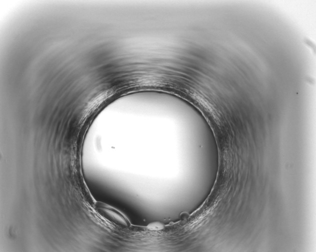 X0000093770930200710301202