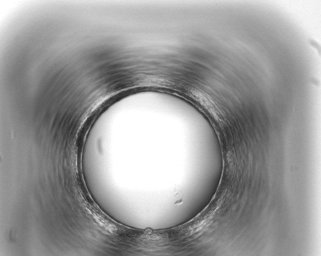 X0000093770931200710301202