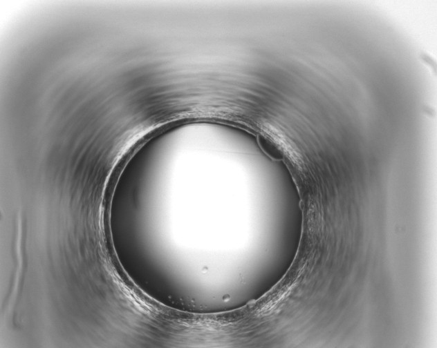 X0000093770932200710301202