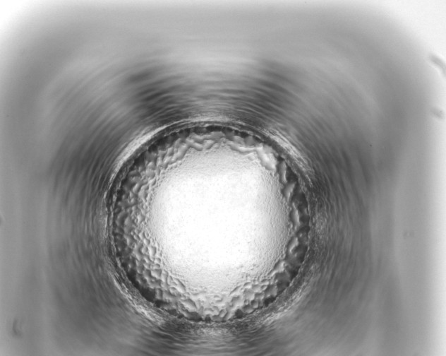 X0000093770933200710301202