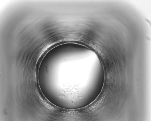 X0000093770934200710301202