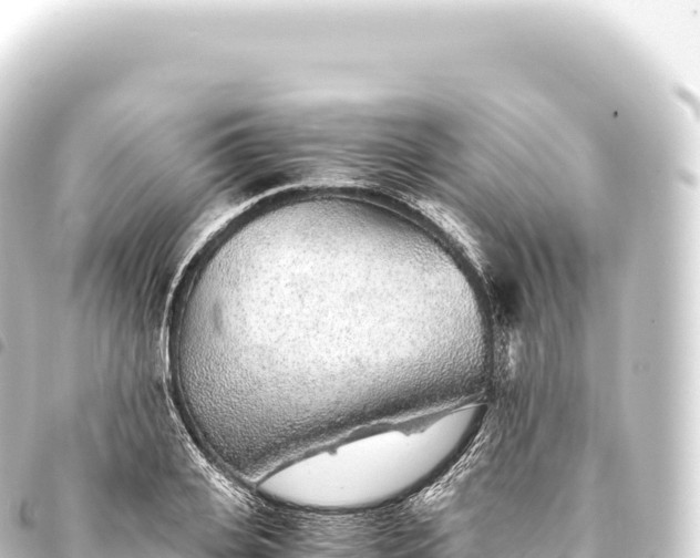 X0000093770935200710301202