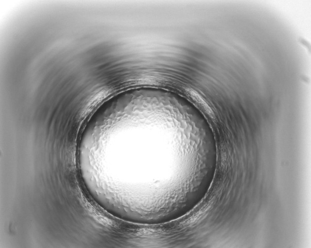 X0000093770938200710301202