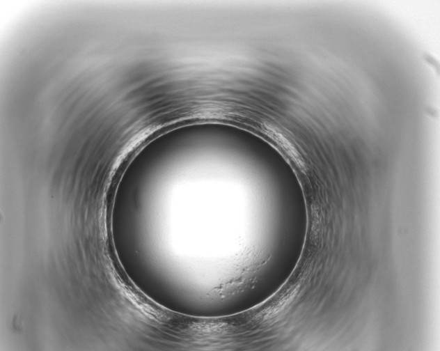 X0000093770939200710301202