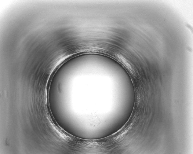 X0000093770940200710301202