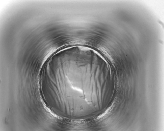 X0000093770941200710301202