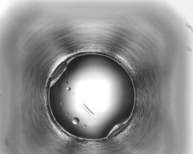 X0000093770942200710301202