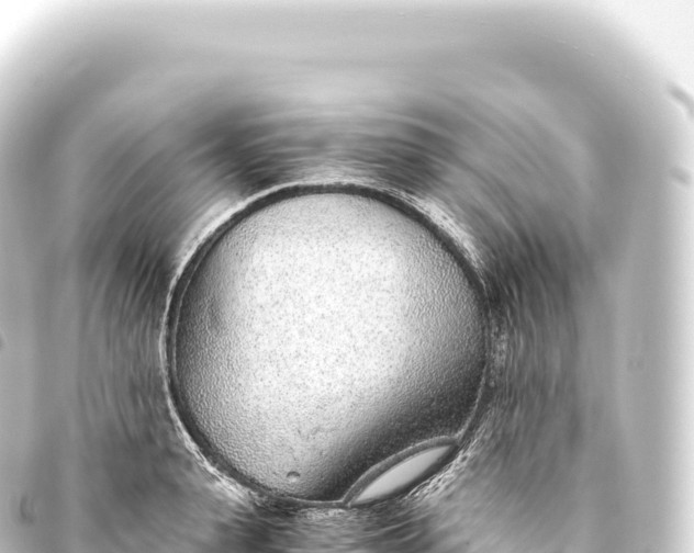 X0000093770943200710301202