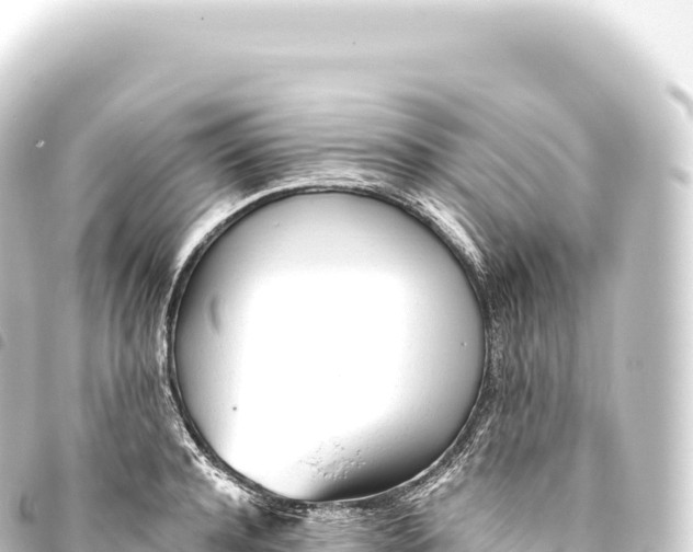 X0000093770944200710301202