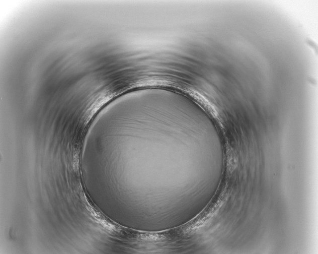 X0000093770945200710301202