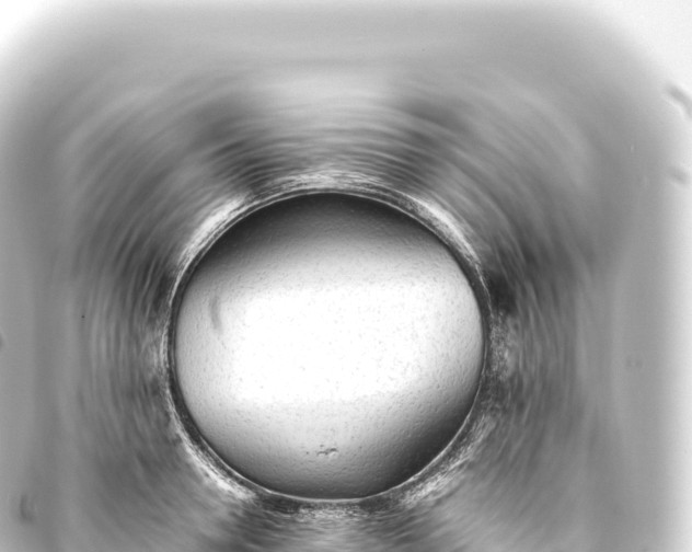 X0000093770946200710301202