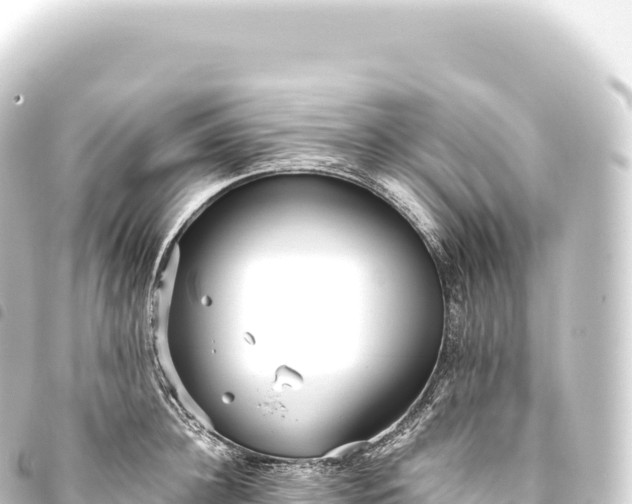 X0000093770948200710301202