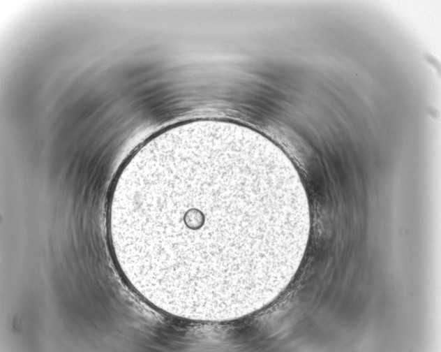 X0000093770950200710301202