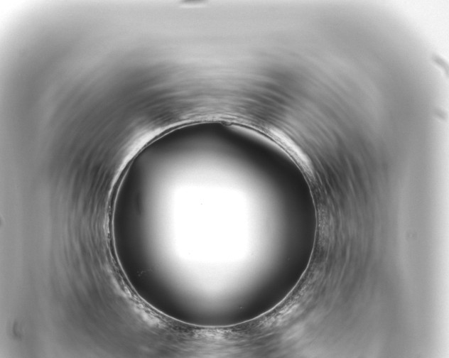 X0000093770956200710301202