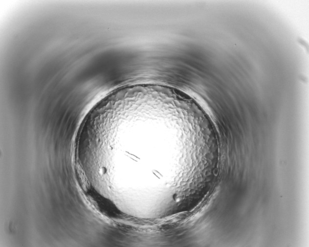 X0000093770957200710301203