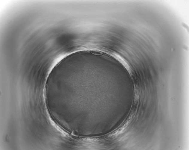 X0000093770958200710301203