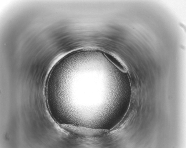 X0000093770959200710301203