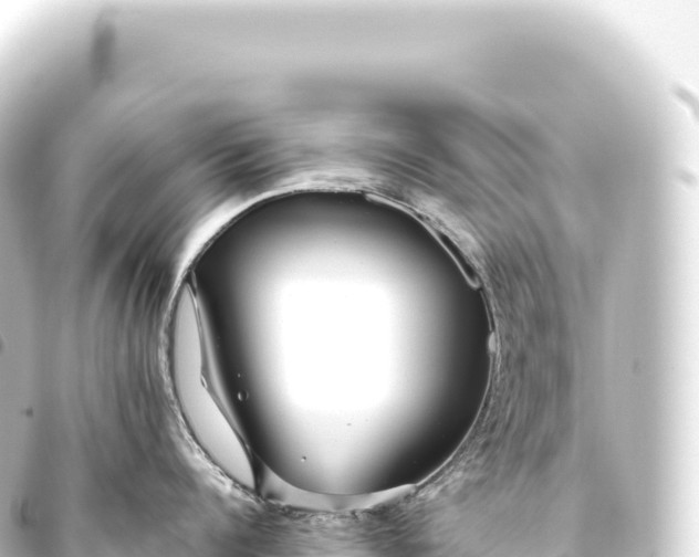 X0000093770960200710301203