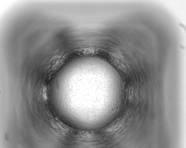 X0000093770962200710301202