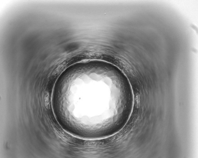 X0000093770963200710301202