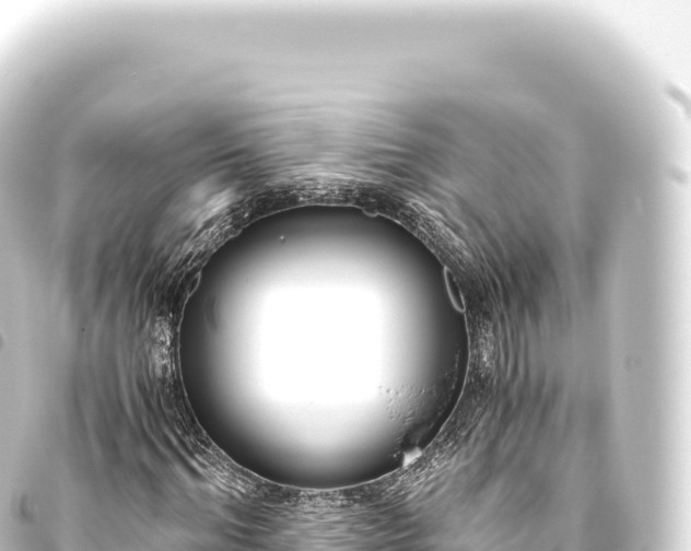 X0000093770964200710301202