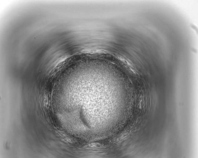 X0000093770966200710301202