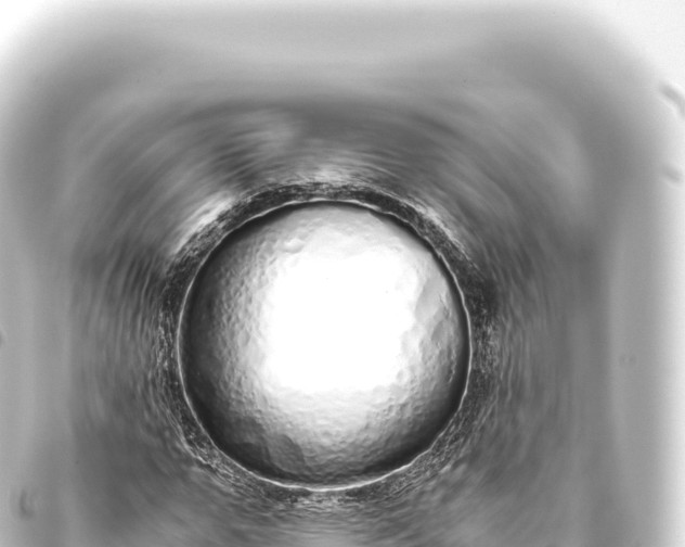 X0000093770967200710301202