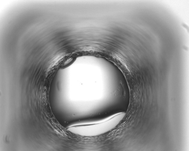 X0000093770968200710301202