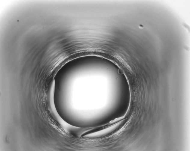 X0000093770969200710301202