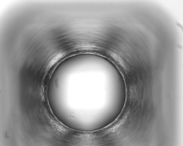 X0000093770970200710301202