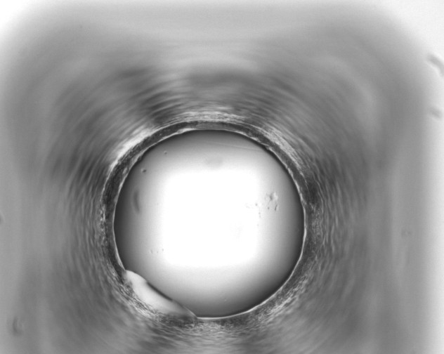 X0000093770971200710301202